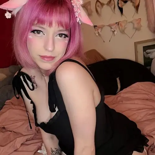 1rosakatzchen image 0